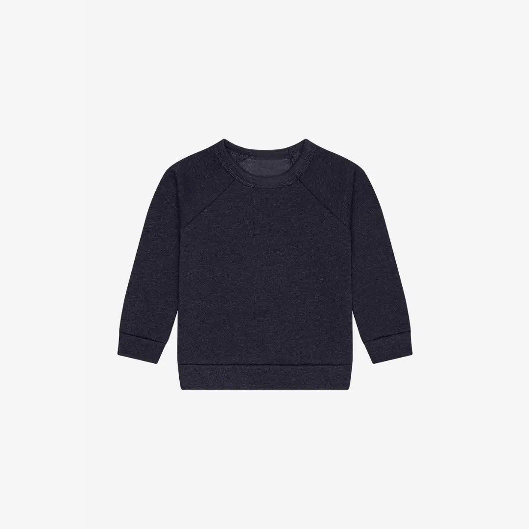 Toddler Sponge Fleece Raglan Sweatshirt