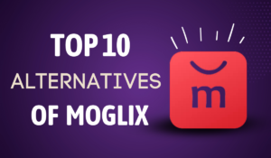 Top 10 alternative of moglix