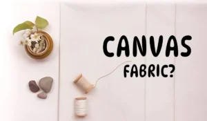 What is Canvas Fabric