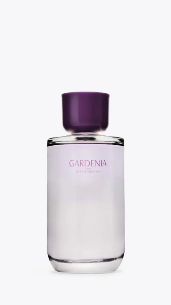 Zara Gardenia