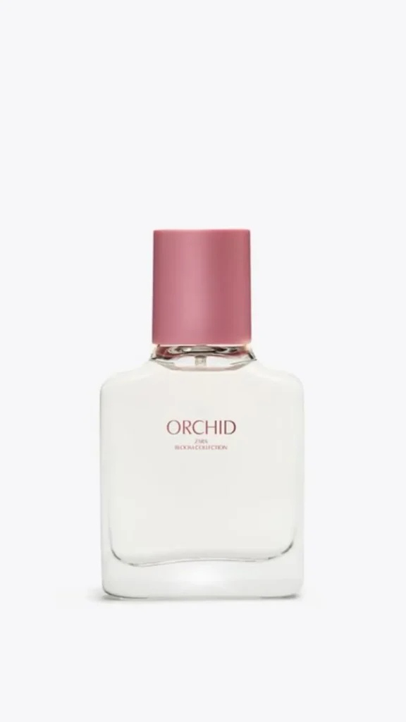 Zara Orchid